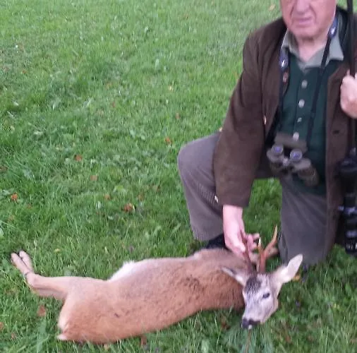 Huette Zum Verlieben Lodge Gurk