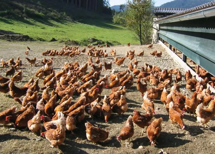 Lodge Huette Zum Verlieben Gurk